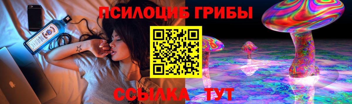 Мыски  Псилоцибиновые грибы прущие грибы  Вход с VPN 